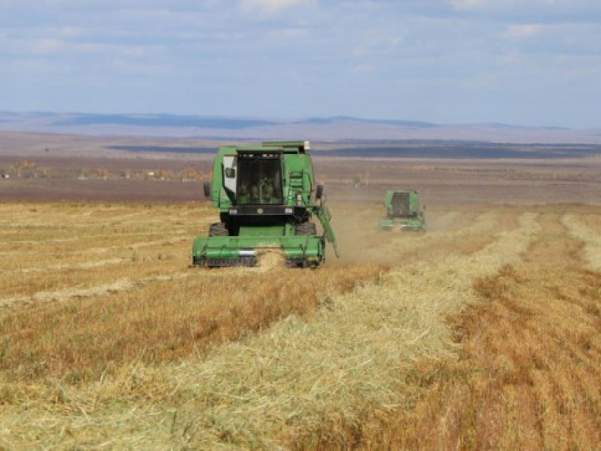 ​Уборочная кампания завершается на территории Агинского Бурятского округа